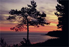 Hornbæk